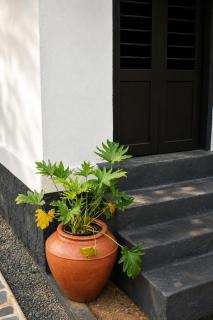 Udupi River Inn - 1