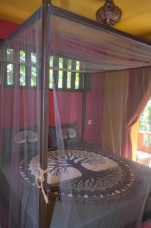 Eco Lodge ZEN GARDEN - 3