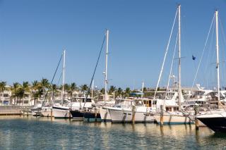 Hilton Key West Resort & Marina - 4