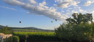 L'Orée du Vignoble le Nid Alsace Wine Route - 0