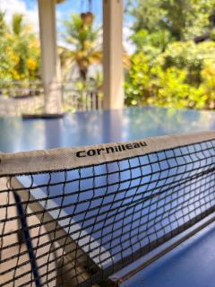 Air-conditioned haven in Martinique - 8