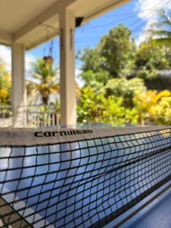 Air-conditioned haven in Martinique - 4