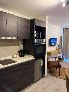 Cozy studio Paseo Bulnes y Moneda metro con Terraza - 4