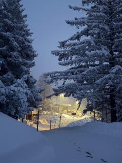 Beautiful chalet with exceptional views, ski-to-door, very quiet - Gryon - 2