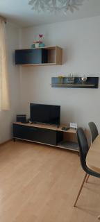 Apartmán Jáchymov Krušné hory - 9