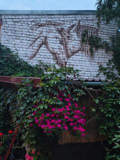 Horses - 1