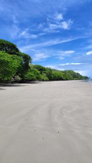 Tierra Viva Ecoproject - Manzanillo - 2