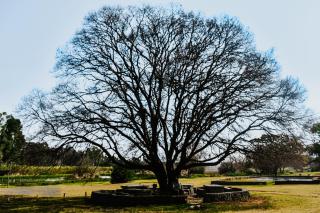 30-Bed Bunkhouse, Wetlands Retreat, Cullinan - 2