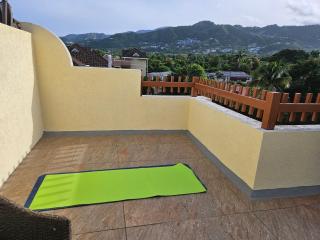 Private Penthouse Rooftop Oasis, Liguanea - 9