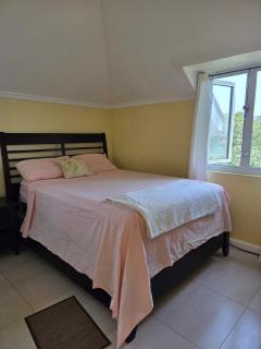 Private Penthouse Rooftop Oasis, Liguanea - 8