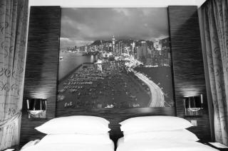 Hotel- Alex - 2
