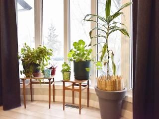Cozy Rooms MF Suite - 3