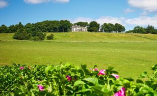 Kinclune Estate, House & Cottages - Sleeps 28 - 2