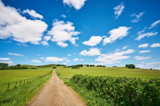 Kinclune Estate, House & Cottages - Sleeps 28 - 6