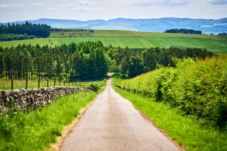 Kinclune Estate, House & Cottages - Sleeps 28 - 1