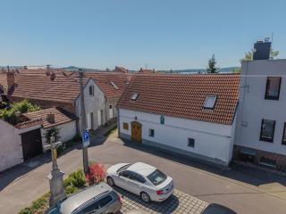 Vinný sklep - Šakvice - 8