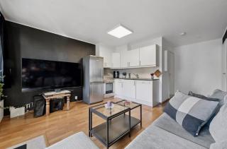 cosy small appartment for either couple or single - 4