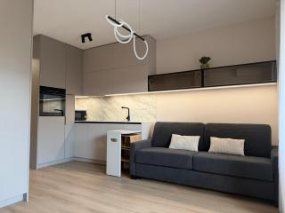 MOOD Apartment Piešťany Centrum, parking, terasa - 9