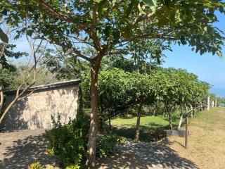Casa Sofia, La Diada Veracruz - 8