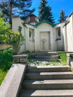 Villa King Jiri Karlovy Vary - 5