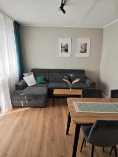 Apartament Wzgórze Wolności - 6