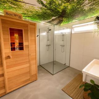 Vakantievilla 10 km van strand honden welkom omheinde tuin sauna buitenbad - 6