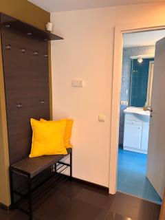 Stylish 1 Bedroom Apartment near Iulius Town - 9
