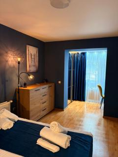 Stylish 1 Bedroom Apartment near Iulius Town - 4