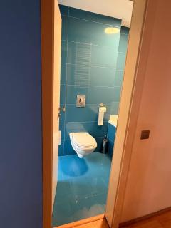 Stylish 1 Bedroom Apartment near Iulius Town - 3