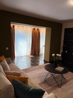 Stylish 1 Bedroom Apartment near Iulius Town - 1