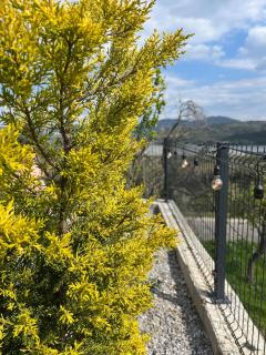 Premium Accommodation Near Assos Privilege - 6
