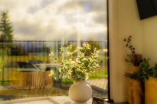 Ben Ohau Views The Studio - Twizel - 3