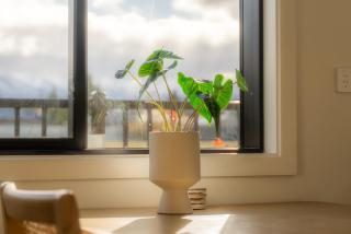 Ben Ohau Views, The Apartment - 3
