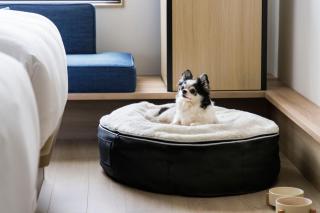 Fairfield by Marriott Kagoshima Sakurajima - 8