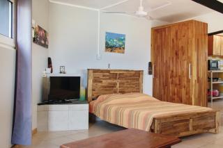 Studio charmant à L'Étang-Salé, jardin et vues, 25 m² - 8
