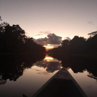 Amazon Tropical Tours - 2