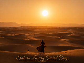 Sahara Luxury Tented Camp - 7