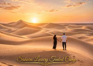 Sahara Luxury Tented Camp - 4