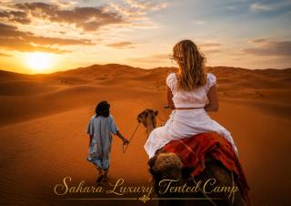 Sahara Luxury Tented Camp - 1