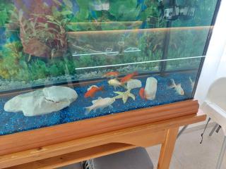 Restaurant Aequum Seafood House - 1