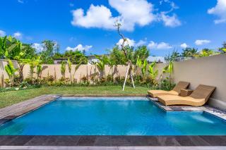 Private Pool Villa With Garden View Near Ubud - 7
