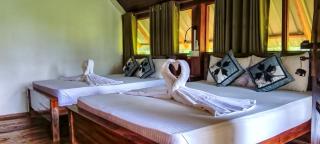The Rock & Paddy Resort - 8