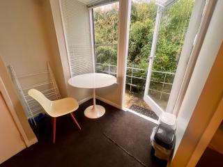Studio is 2nd door past carport - 0