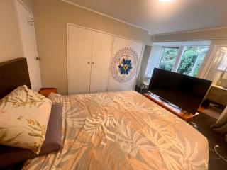 Studio is 2nd door past carport - 6