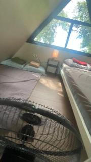 Santillana Hillside Farms - 9