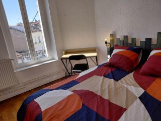 Appartements Charmants, quartier calme - Nancy - 6