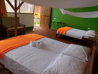 Tambopata Hostel - 2