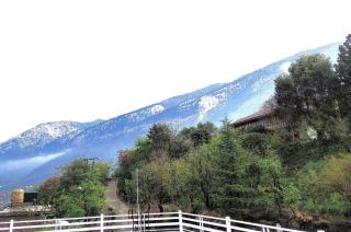 Cedar Crest Homestay - 9