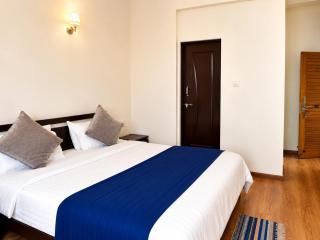 Hotel Maurya Regency - 5