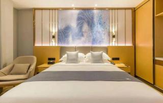 GreenTree Eastern Hotel Tianjin Dongli Development Zone Xinli Metro Station - 7